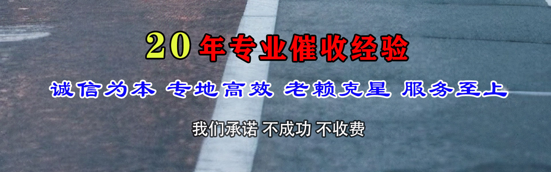 岳西追账公司